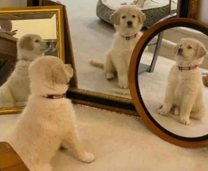 Hmmm