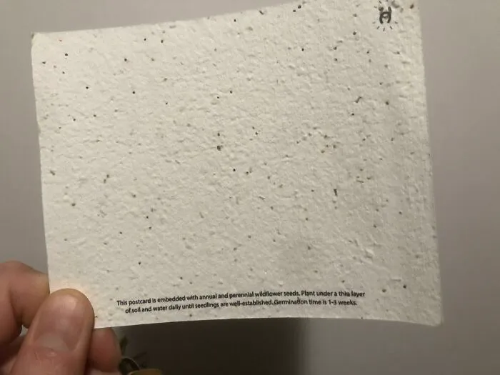 Esta postal de un hotel de Nueva York tiene semillas de flores silvestres, y puedes plantarla tras recibirla por correo