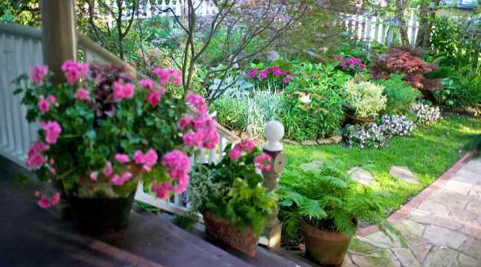 My Backyard