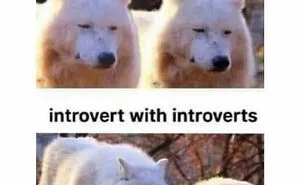 40 Funny ‘Antisocial Memes’ Introverts Might Relate To