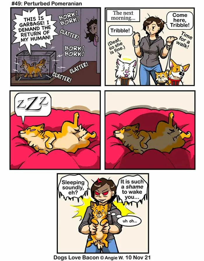21 Comics I Made To Illustrate The Funny Reality Of Being A Dog Owner (New Pics)