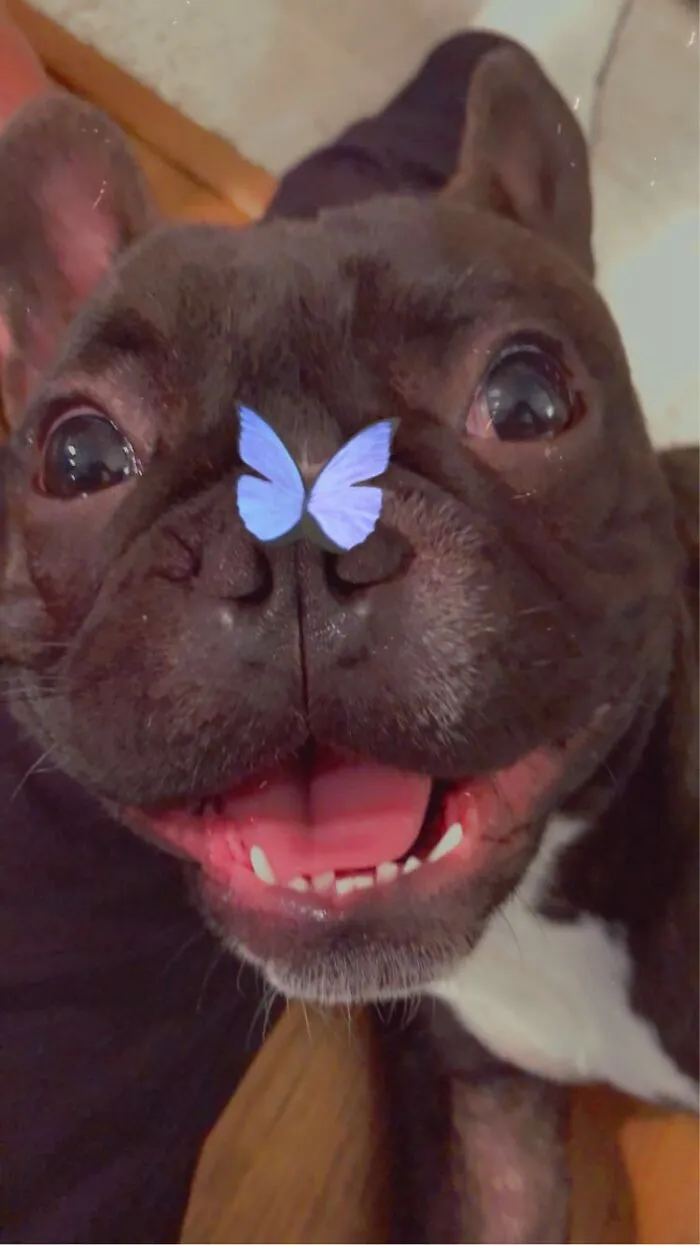 Hugos Happy Face