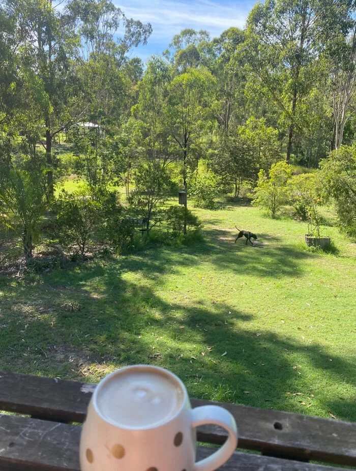 We Have A Acre It’s Very Pretty But It’s A Lot Of Work
