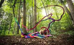 I Turned A Forest Vine Into Rainbow Art