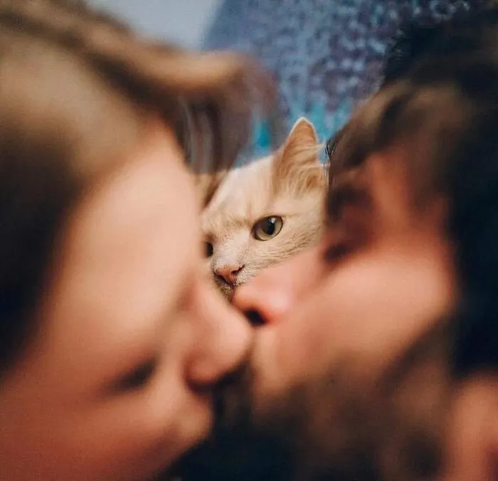 This Instagram Account Features Amusing Street Photographs And Has More Than 500 Thousand Followers (30 New Pics)