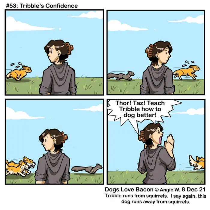 21 Comics I Made To Illustrate The Funny Reality Of Being A Dog Owner (New Pics)