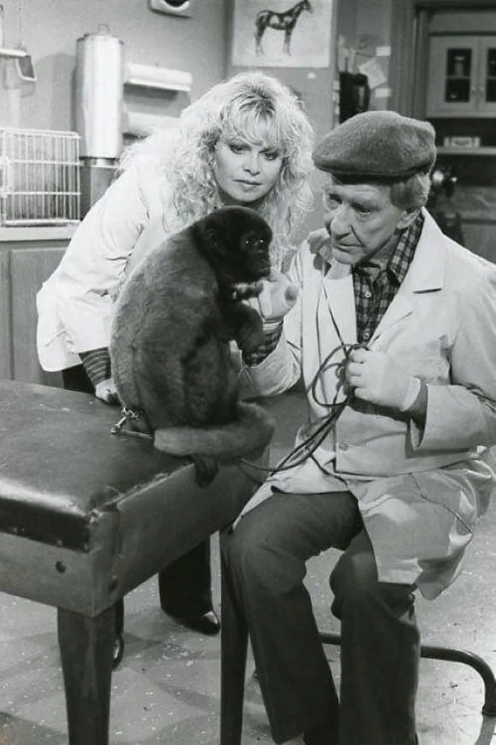 Poster for Gloria sitcom