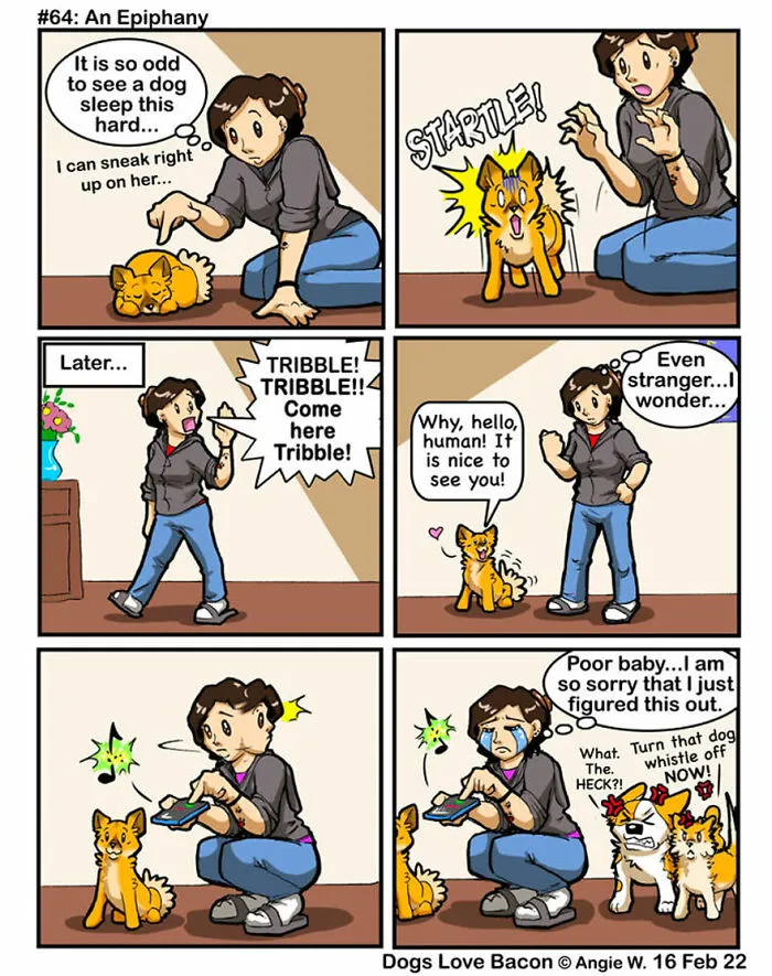 21 Comics I Made To Illustrate The Funny Reality Of Being A Dog Owner (New Pics)