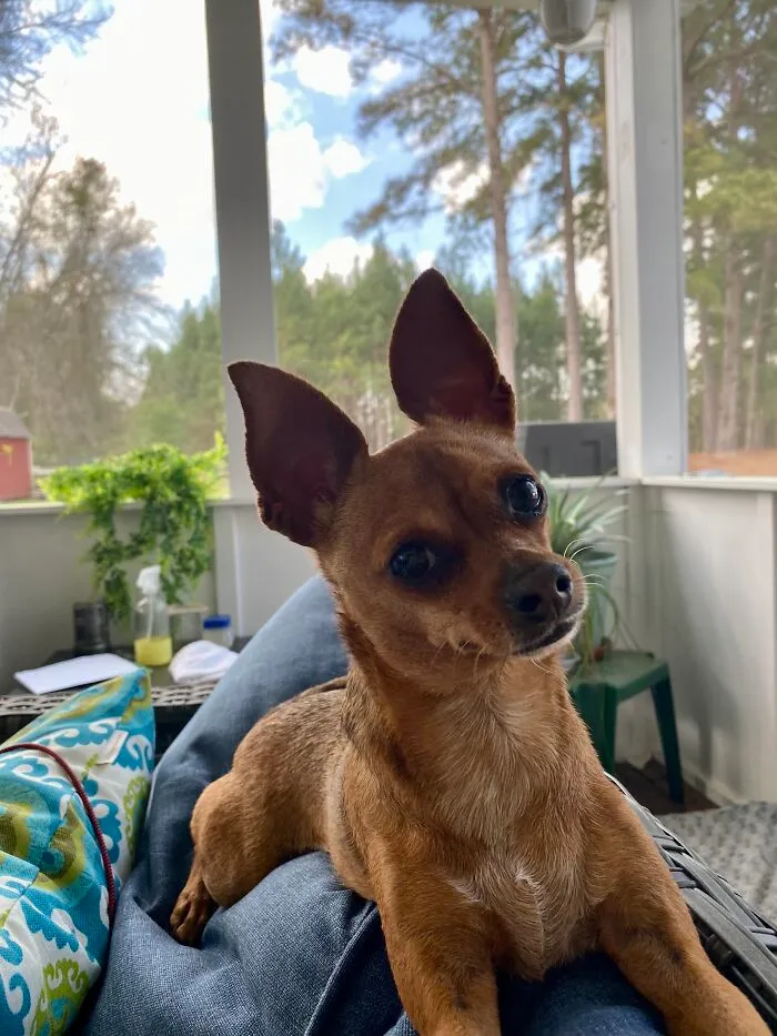 Well, Hello There!