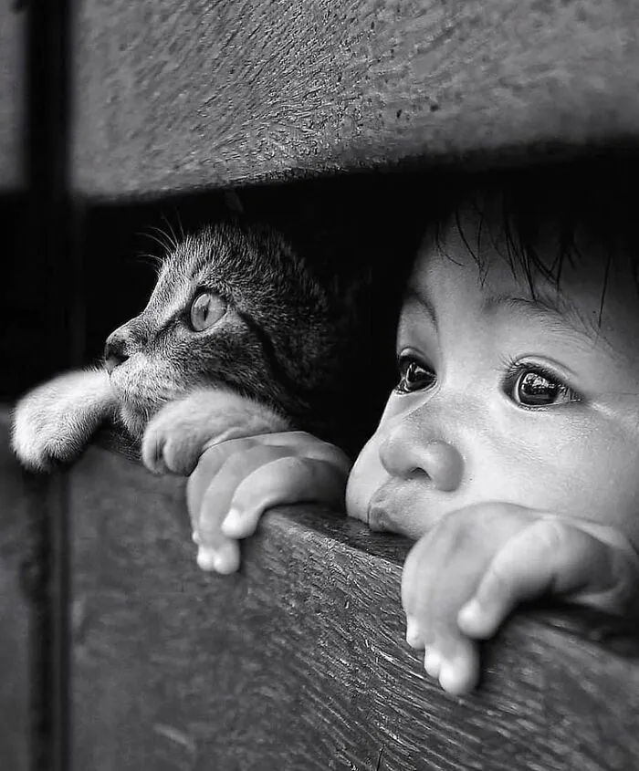 This Instagram Account Features Amusing Street Photographs And Has More Than 500 Thousand Followers (30 New Pics)