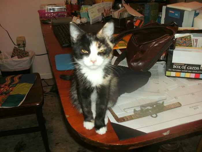 Nugget, About Three Months