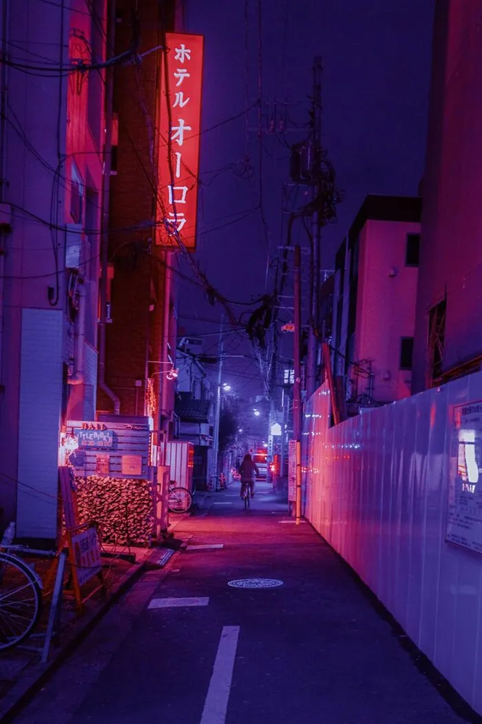 I Fulfilled My Dream And Traveled To Japan To Capture The Surreal City Of Tokyo At Night (23 Pics)