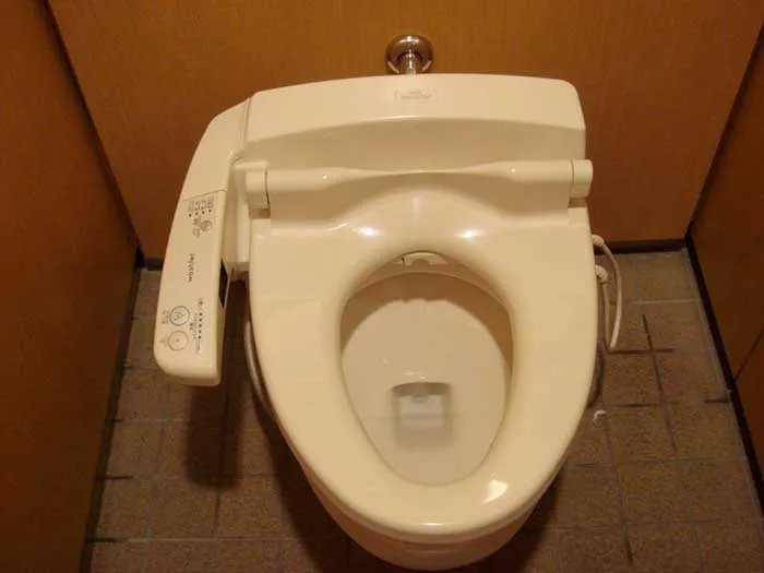 A Lot Of Water In Toilets
