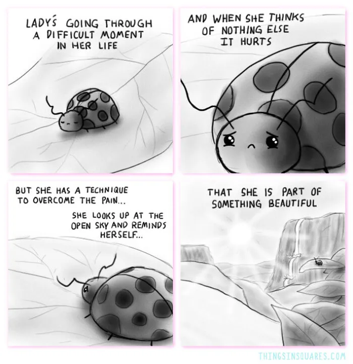30 Absurd Comics By Things In Squares That Might Make You Smile