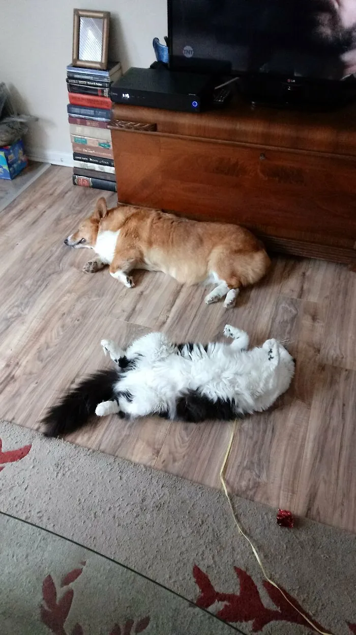 Atticus And Boatsie