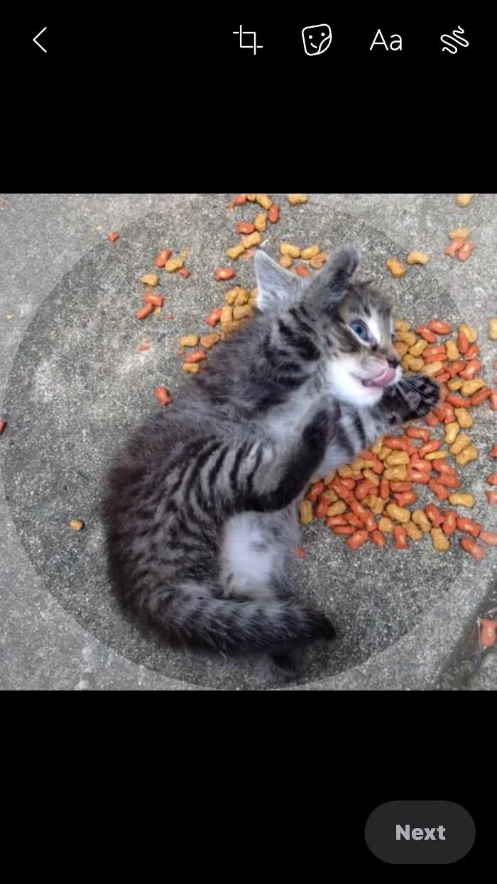 This Isn’t What We Do With Food, Walter