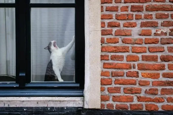30 Extraordinary Pictures Taken By Jeffrey De Keyser Embracing "The Absurd Human Condition"