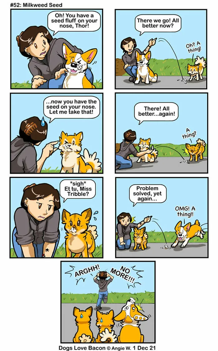 21 Comics I Made To Illustrate The Funny Reality Of Being A Dog Owner (New Pics)