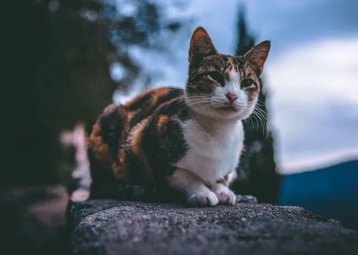 30 New ‘Today I Learned’ Facts That Prove It’s Never Too Late To Learn