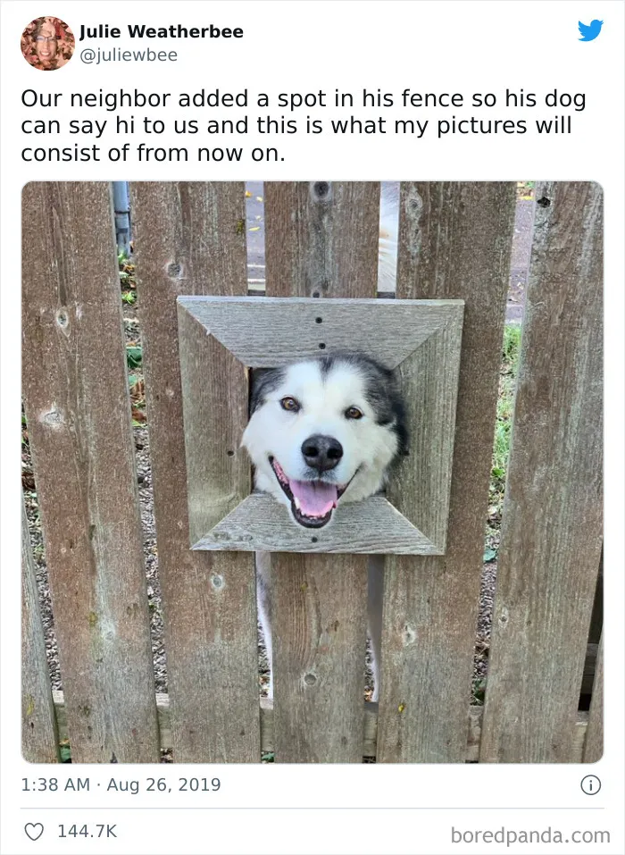 50 Of The Most Wholesome Posts From This Instagram Account To Fill You With Joy