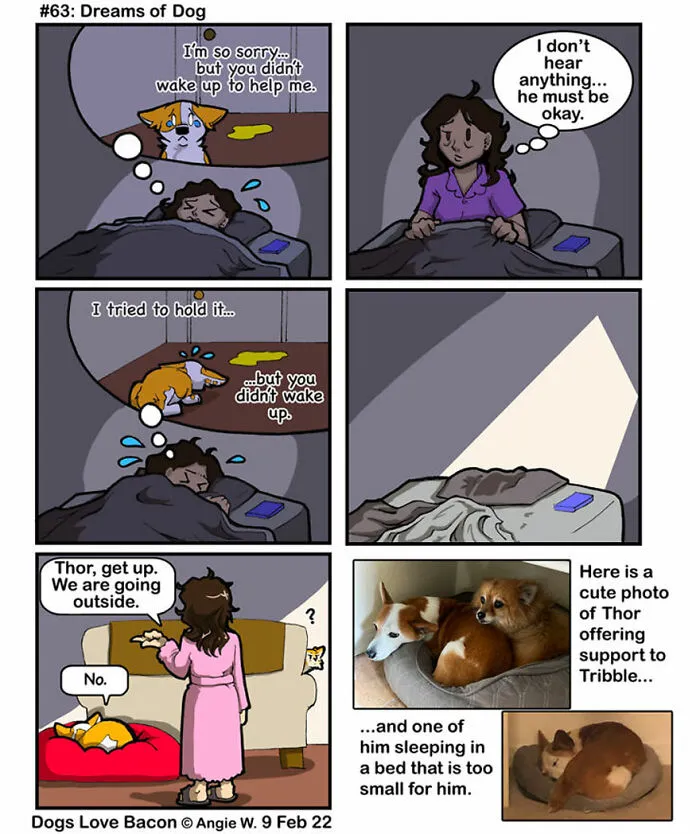 21 Comics I Made To Illustrate The Funny Reality Of Being A Dog Owner (New Pics)