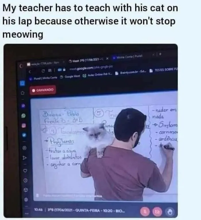 30 Memes That You Might Relate To If You Ever Had To Study Or Work