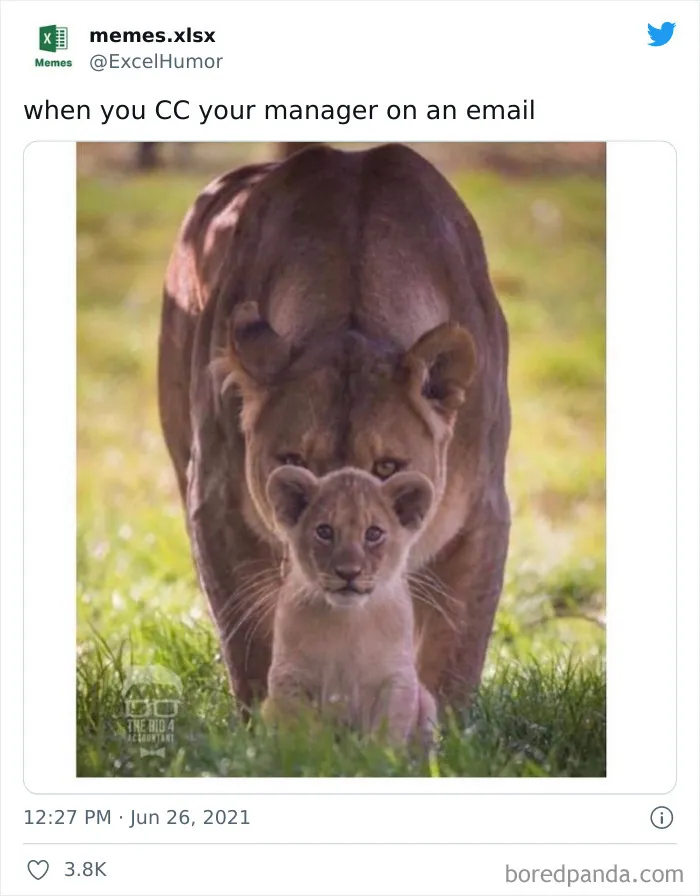 The "Excel Humor" Instagram Page Shares 35 Humorous And Relatable Posts