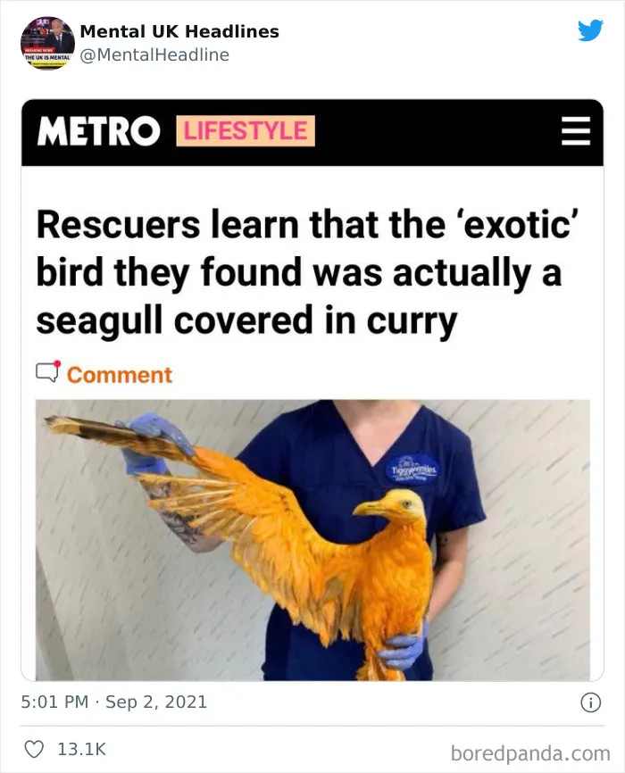 50 ‘Mental UK Headlines’ That Are 100% British