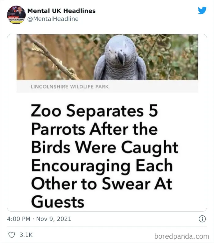 50 ‘Mental UK Headlines’ That Are 100% British