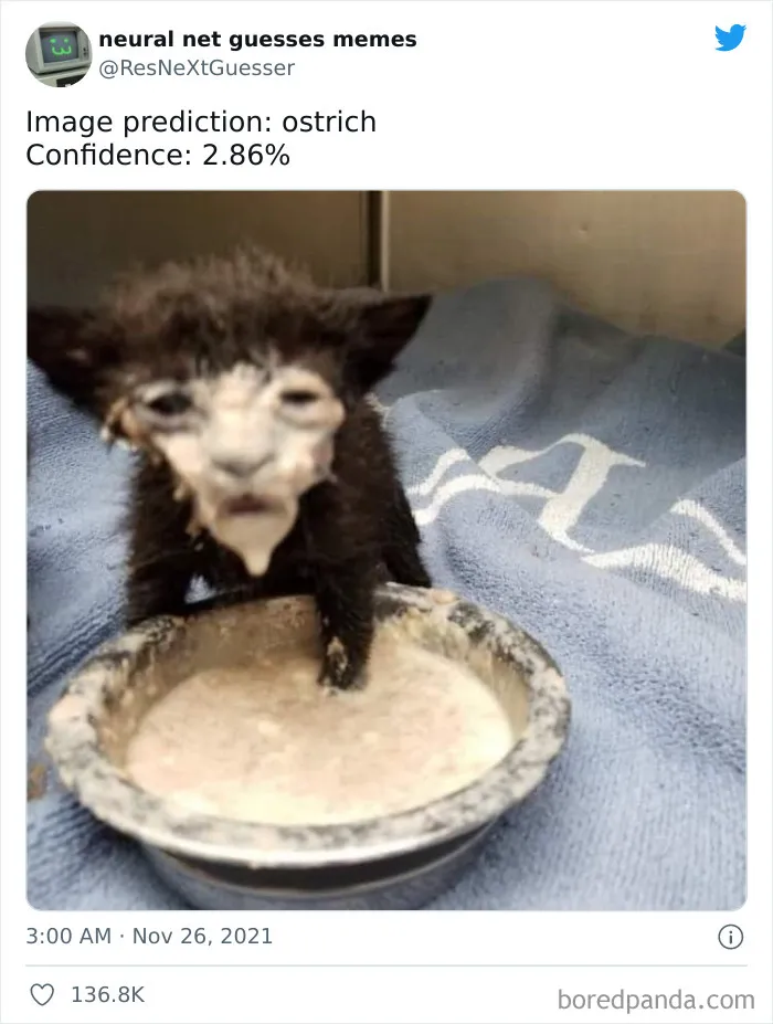 This AI Bot Is Trying To Guess What Is Being Depicted In Popular Memes, And Here Are 30 Of Its Funniest Attempts