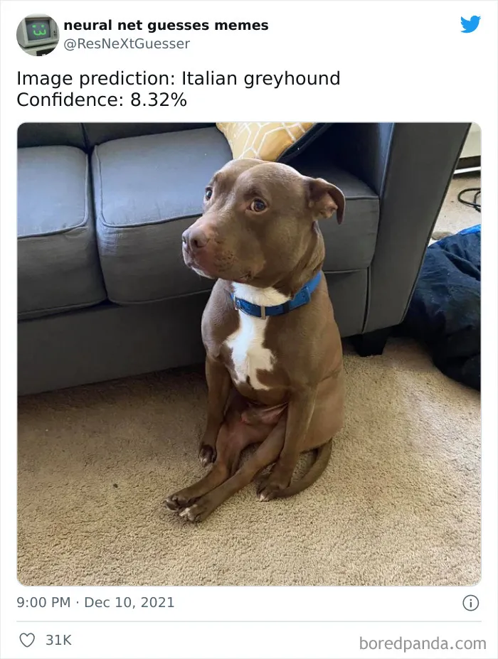 This AI Bot Is Trying To Guess What Is Being Depicted In Popular Memes, And Here Are 30 Of Its Funniest Attempts