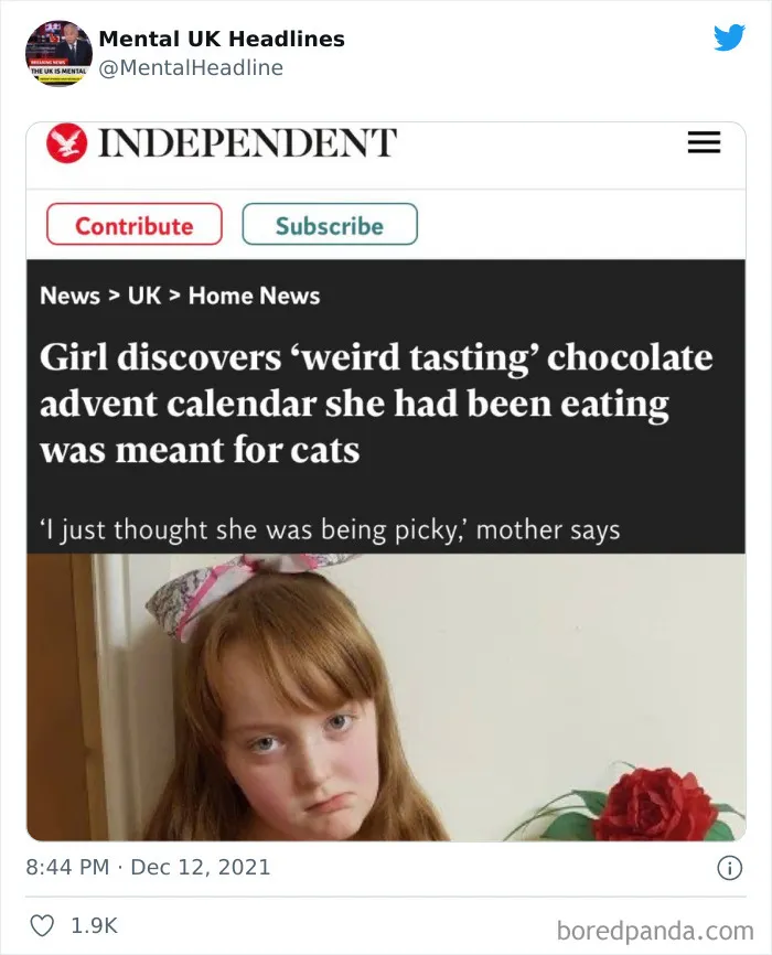 50 ‘Mental UK Headlines’ That Are 100% British