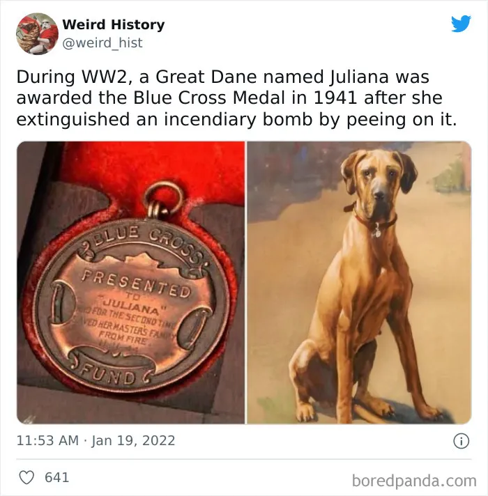‘Weird History’ Is An Account That Shares Interesting, Odd, And Funny Things That Happened And Here’s 50 Of Their Best Posts (New Pics)