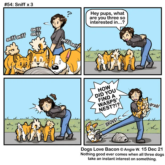 21 Comics I Made To Illustrate The Funny Reality Of Being A Dog Owner (New Pics)