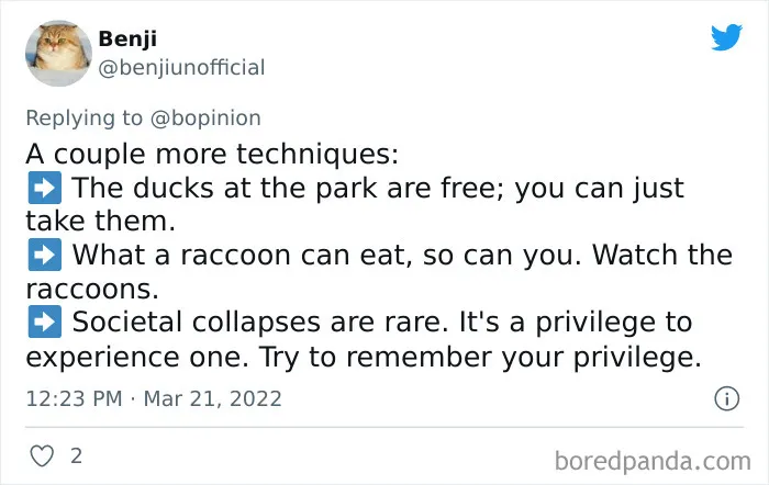 30 Of The Best Reactions From The Internet On Bloomberg's 'Surviving Inflation' Tips