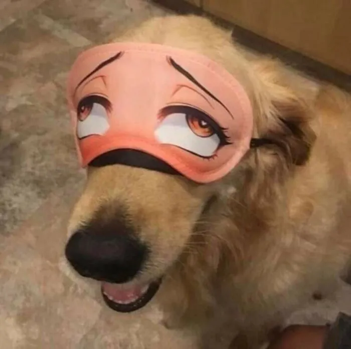 "Japón sin contexto": 37 fotos divertidas y extrañas que demuestran lo singular que es Japón