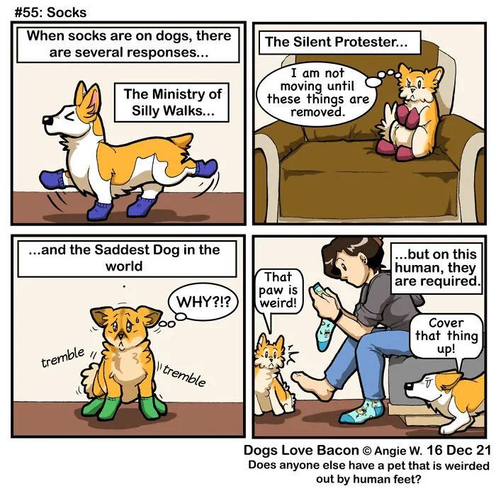 21 Comics I Made To Illustrate The Funny Reality Of Being A Dog Owner (New Pics)