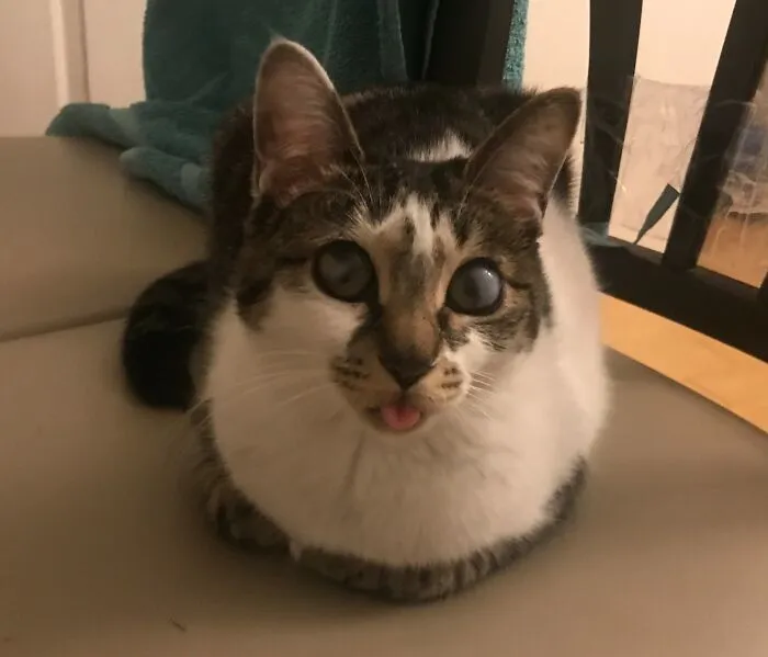 Maja, My Cutie