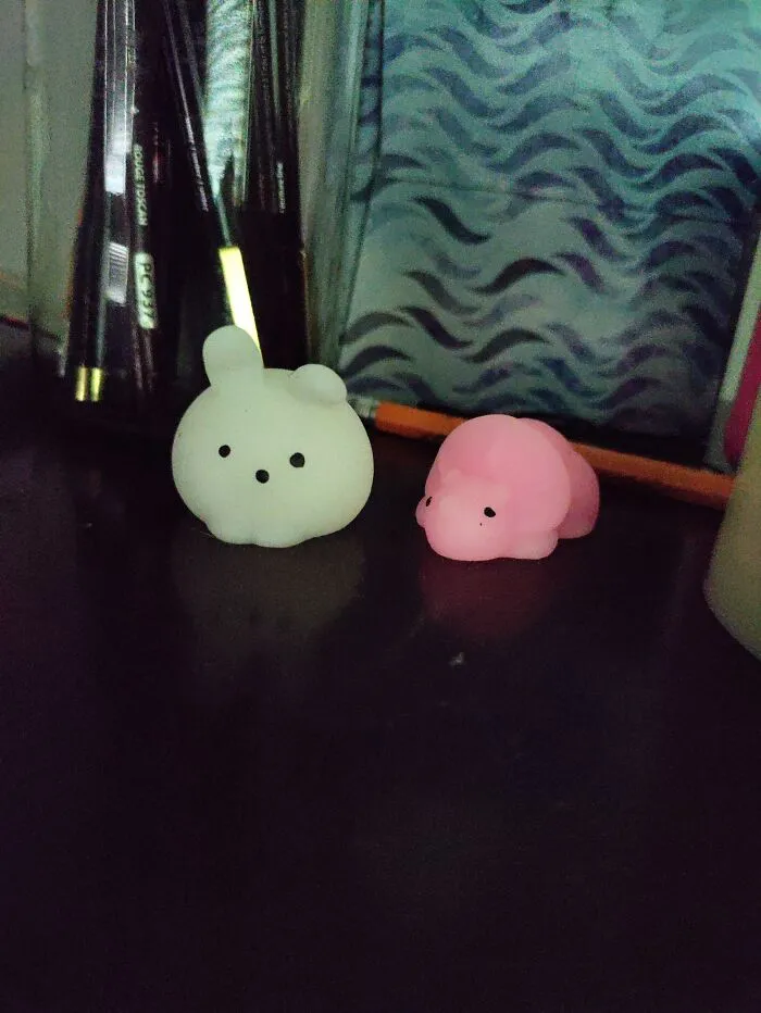 Squishy Friends