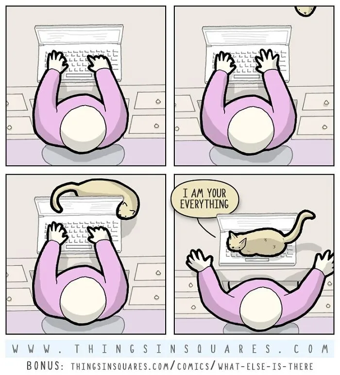 30 Absurd Comics By Things In Squares That Might Make You Smile