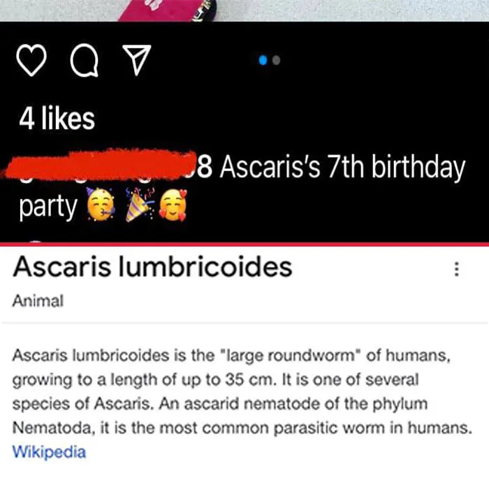 Ascaris