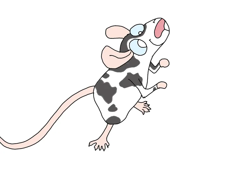 A Mouse! 🐁