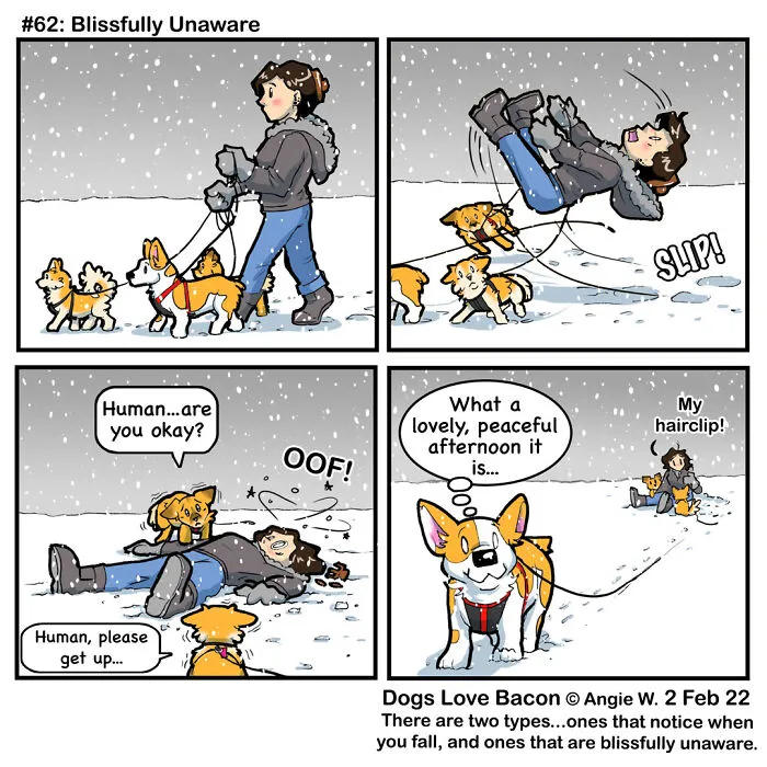 21 Comics I Made To Illustrate The Funny Reality Of Being A Dog Owner (New Pics)