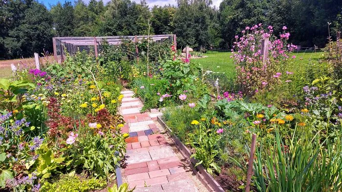 It Started As A Vegetable Garden