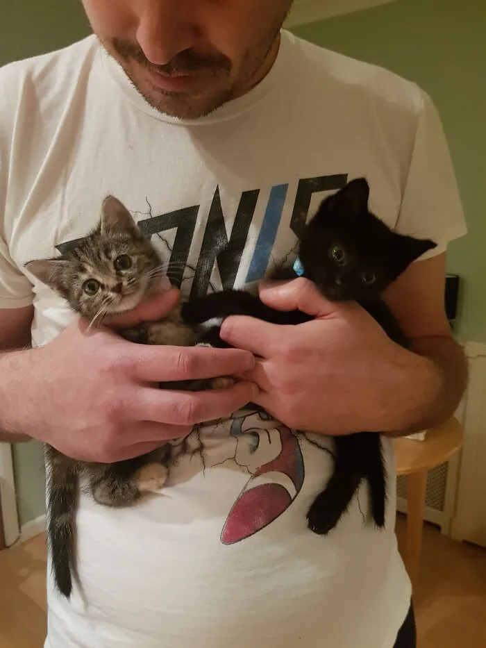 Little Pickles.
