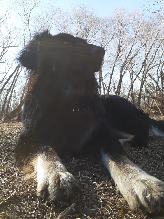 Luna Beam At 9 Months. My Best Friend ❤️