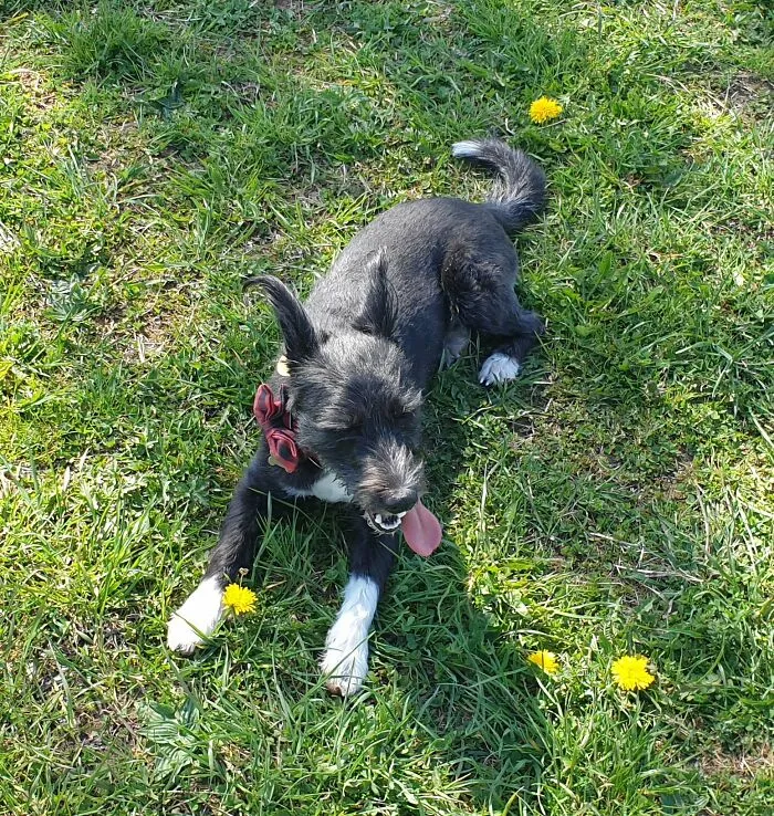 ;p