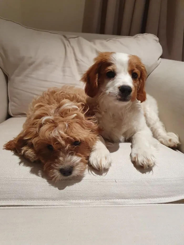 My Babies Were Always Adorable!