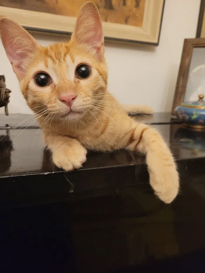 Oliver ❤️