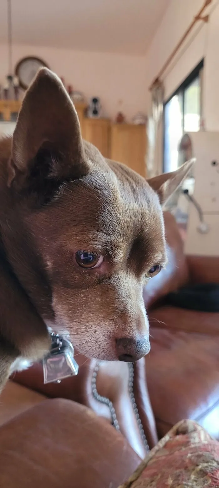 Jack